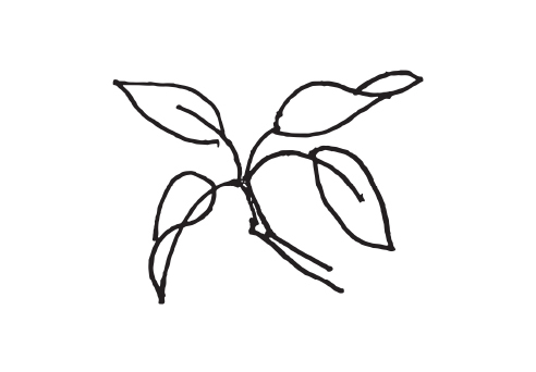 Mtn Laurel Recording Co.